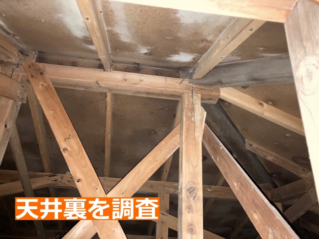天井裏にあがり、雨染みの位置を屋根裏側から確認します