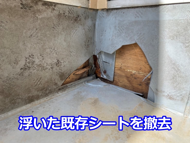 浮いている既存シートを撤去します
