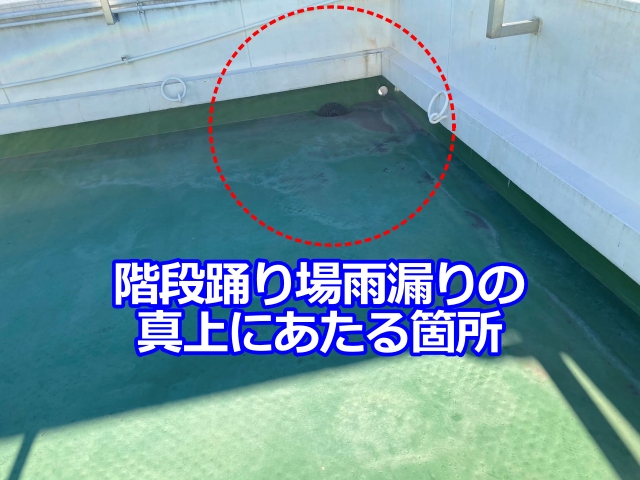 雨漏りしている階段踊り場はこの真下にあたります