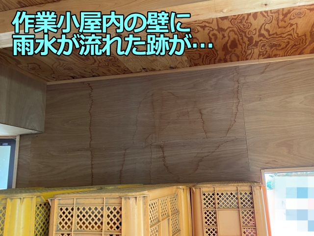 小屋内の壁に広がる雨水が流れた跡