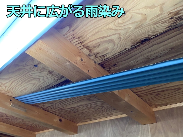作業小屋の天井に広がる雨染み