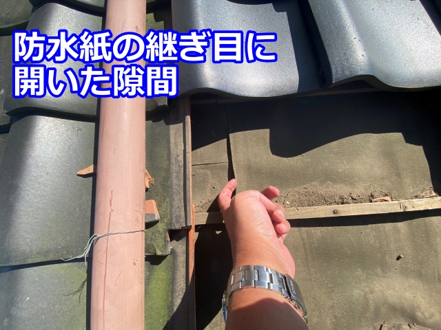 防水紙の継ぎ目に開いた隙間から水の侵入痕