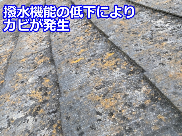 撥水機能の低下によりカビが発生したスレート屋根
