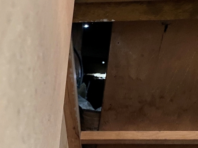 穴があいた野地板の断面にはカビが生え、木材がスポンジのように軟らかくなっている