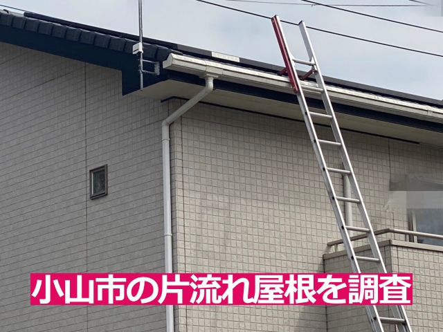 片流れ屋根に梯子をかけて登ります