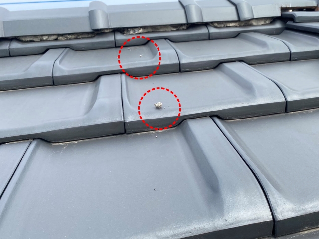 周囲に散らばる漆喰の切片