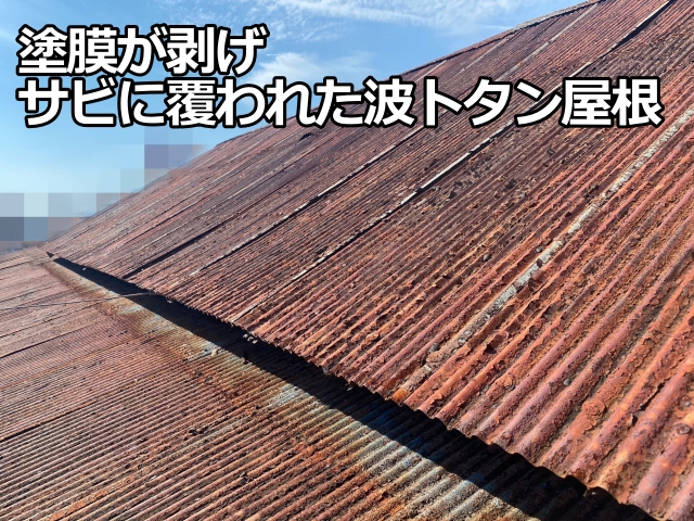 納屋の波トタン屋根は塗膜が剥げ、防止機能が失われた状態