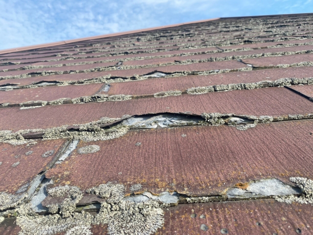 パミールは塗装が難しい屋根材のため、今回は屋根カバー工法をご提案