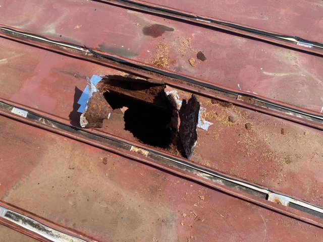 サビて穴があいてしまったトタン屋根（他現場の画像）
