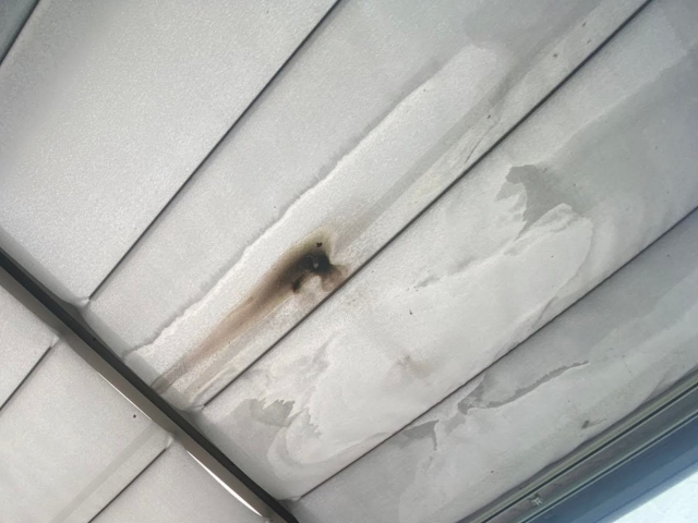 応急的に雨漏り対策として張っているタープには雨の跡がくっきり2