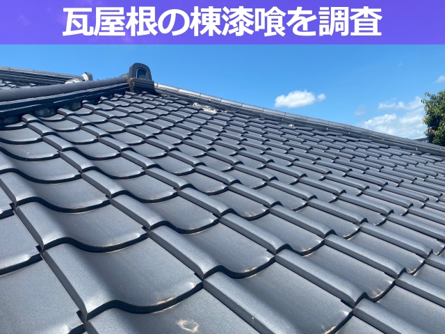 瓦屋根の棟漆喰を調査