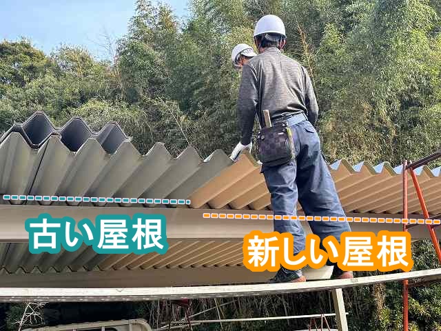 古い折板屋根と新しく張った裏ポリ付折板屋根