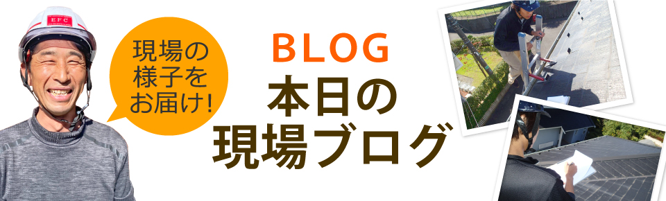 小山市、栃木市、下野市やその周辺エリア、その他地域のブログ