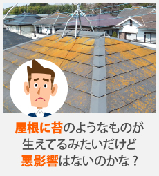 コケの繁茂による屋根塗装のご相談例の図