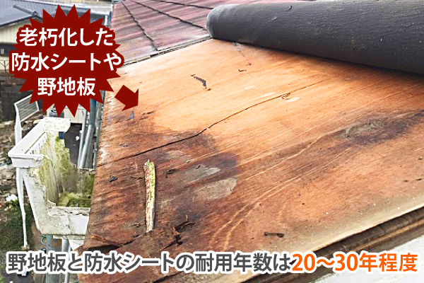 野地板や防水紙の耐用年数の解説写真