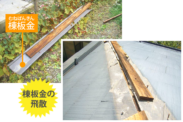 台風による棟板金の飛散の事例