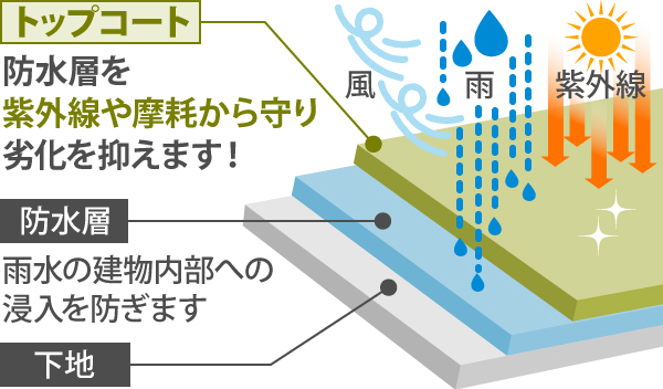 下地の上に雨水の建物内部への浸入を防ぐ防水層があり、防水層を紫外線や摩耗から守り劣化を抑えるのがトップコートです