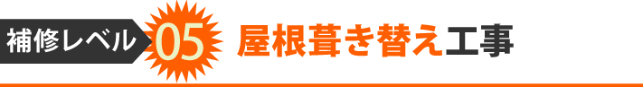 補修レベル05、屋根葺き替え工事