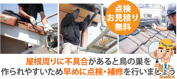 屋根周りに不具合があると鳥の巣を作られやすいため、早めに点検・補修を行いましょう