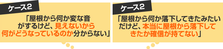 お客様の不安２:「屋根から何か変な音がするけどどうなっているのか分からない」「屋根から何か落下してきたみたいだけど、本当に屋根から落下してきたか確信が持てない」